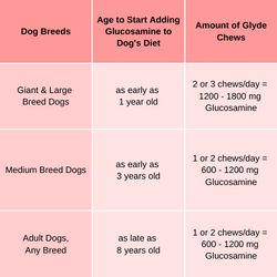 age to start giving your dog glucosamine